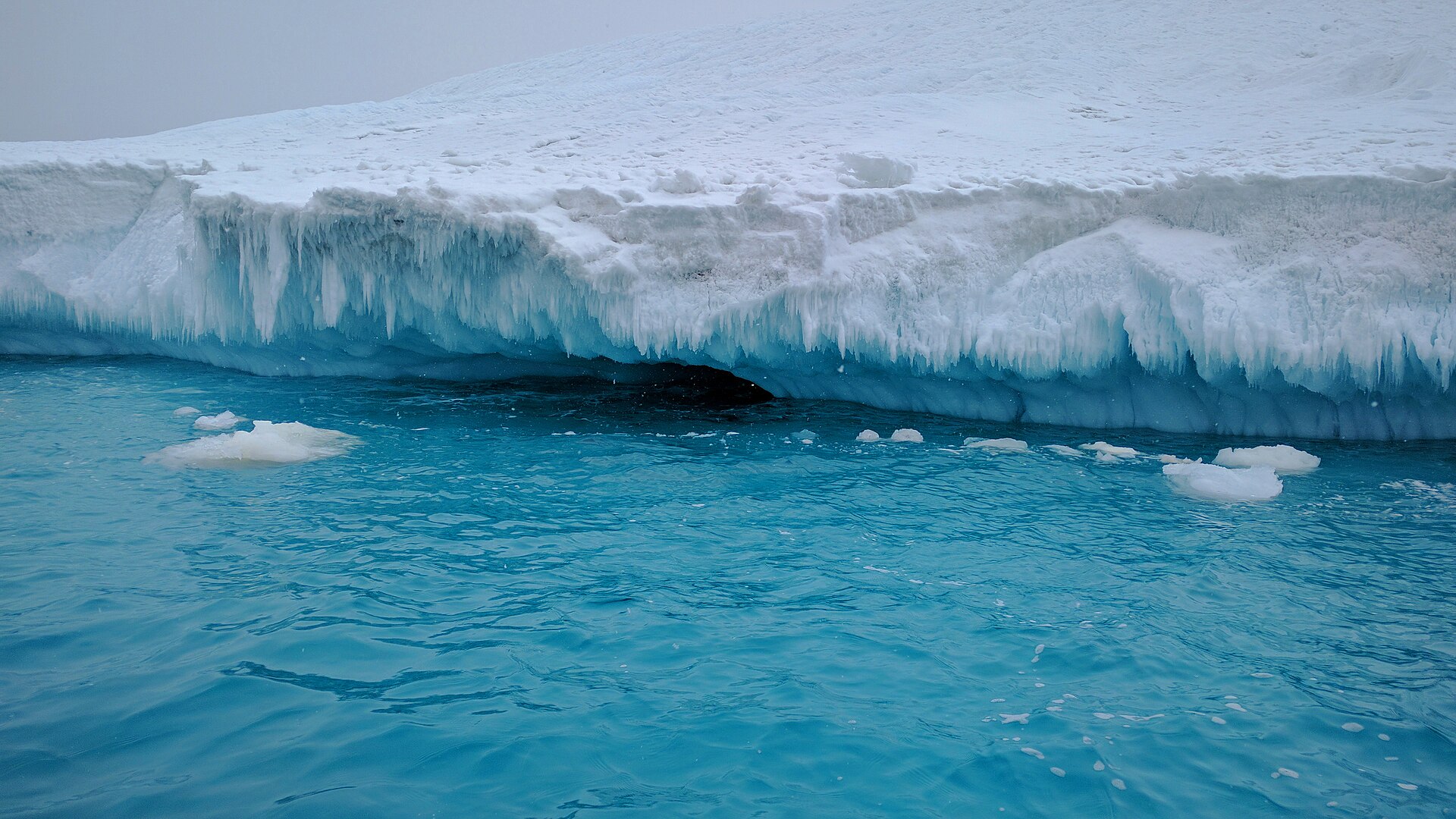 Désert de Antarctique, Antarctique