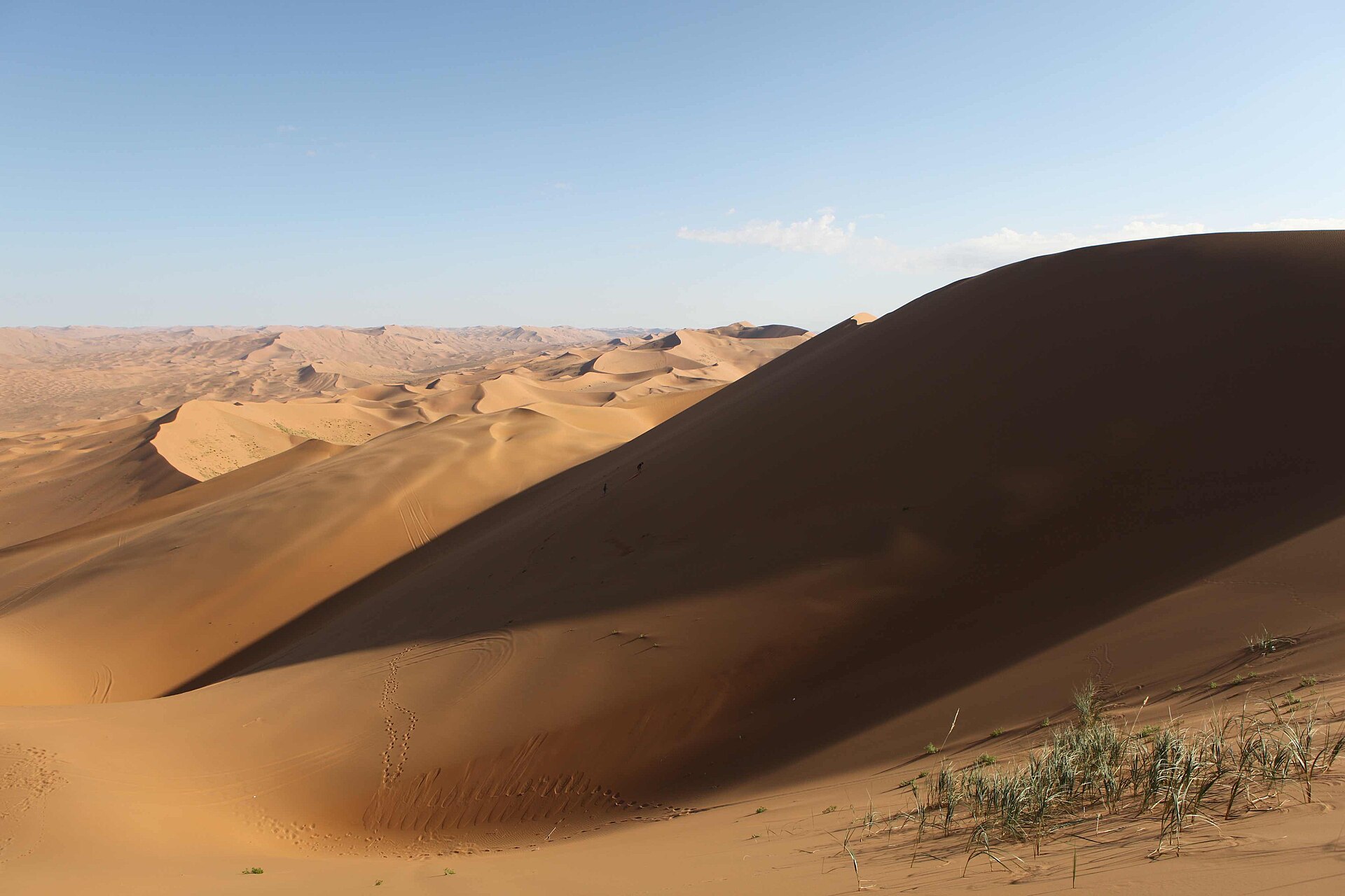 Désert de Gobi, Mongolie